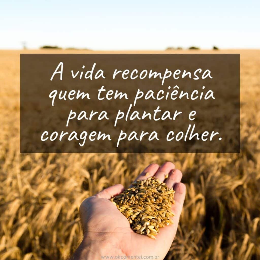 61 frases de arrepiar para status: inspire, emocione e impacte frases-de-arrepiar-para-status
