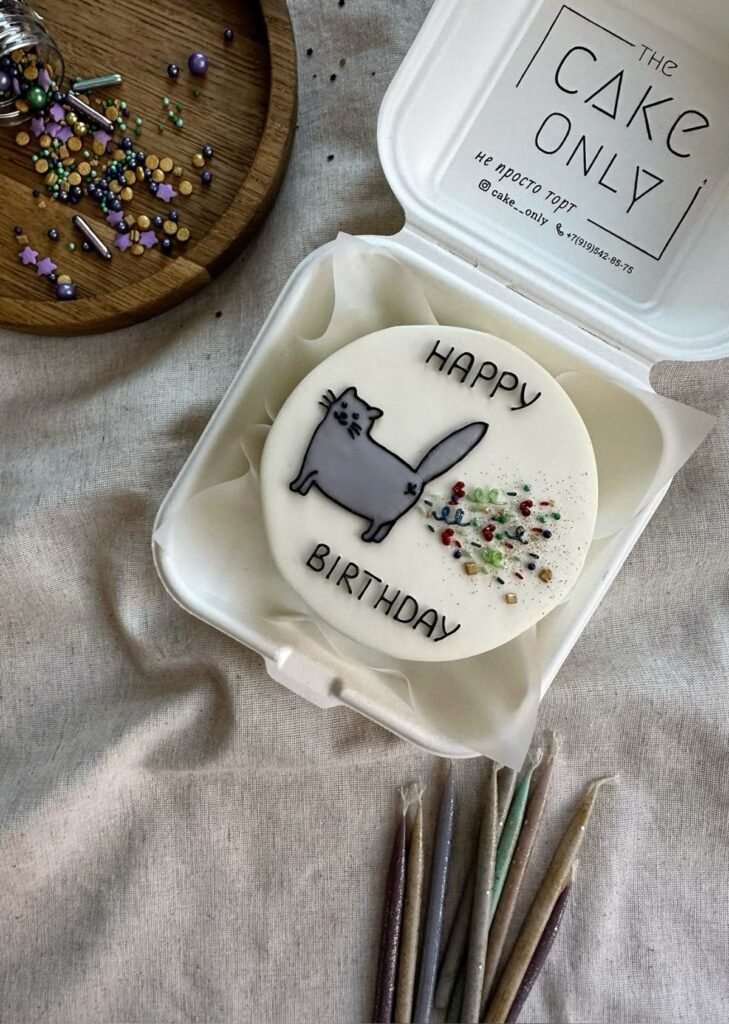 bento-cake-aniversário-gato-pum