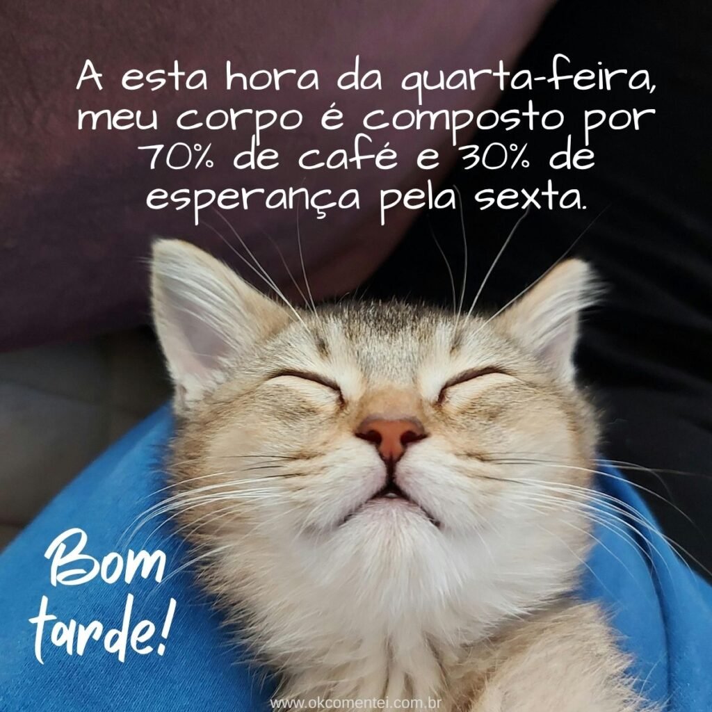 Boa tarde, quarta-feira: 52 mensagens para inspirar, sorrir e renovar as forças boa-tarde-quarta-feira
