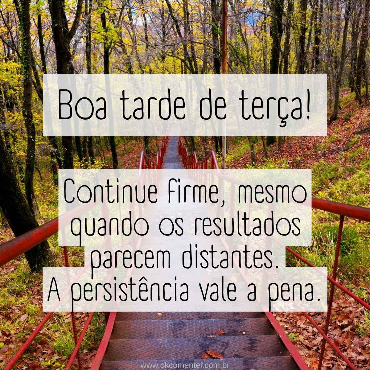 Terca Boa tarde, terça-feira: 52 mensagens para inspirar o seu dia