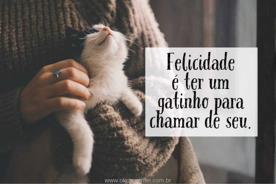 frases-de-gato-para-status