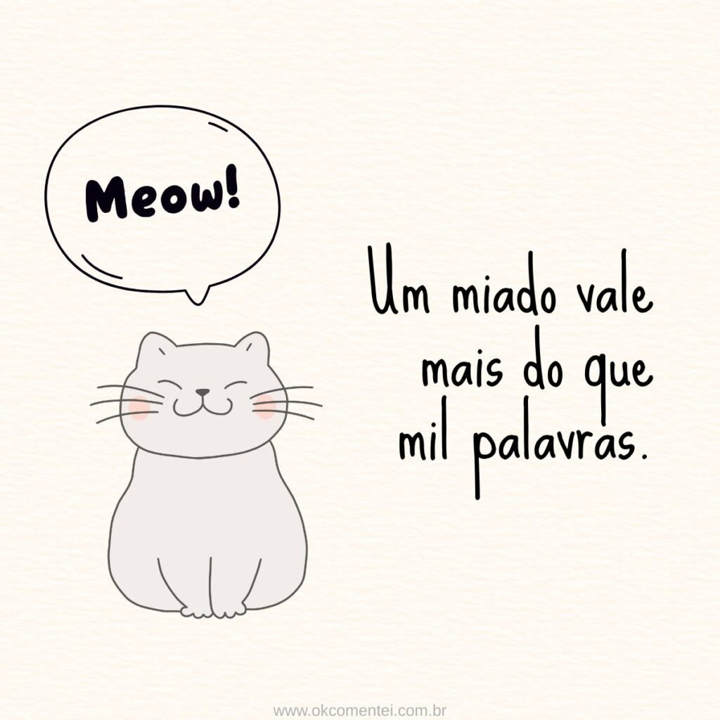 73 frases de gato para status com amor, fofura e um toque de mistério felino frases-de-gato-para-status