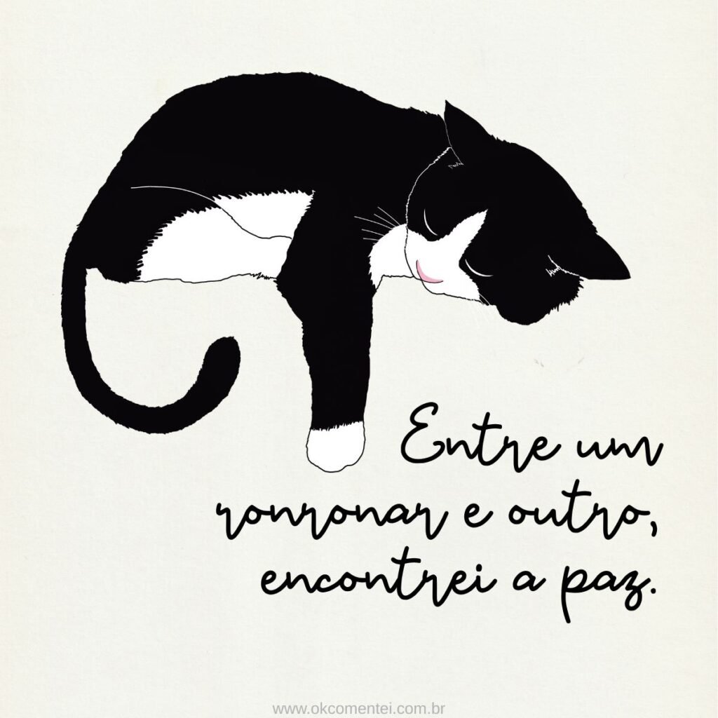 73 frases de gato para status com amor, fofura e um toque de mistério felino frases-de-gato-para-status