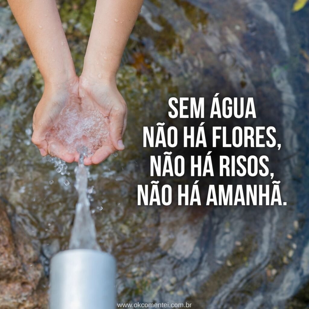 57 frases sobre água para valorizar o bem mais precioso do planeta frases-sobre-água