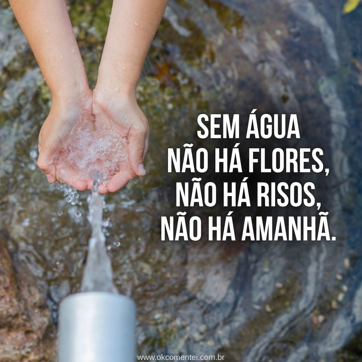 57 frases sobre água para valorizar o bem mais precioso do planeta