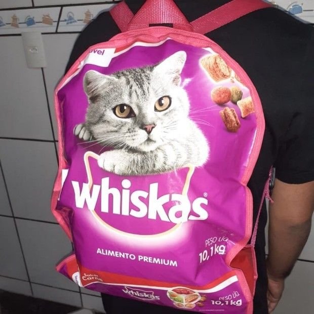 31 ideias de mochila maluca extremamente criativas para o dia mais divertido da escola mochila-maluca