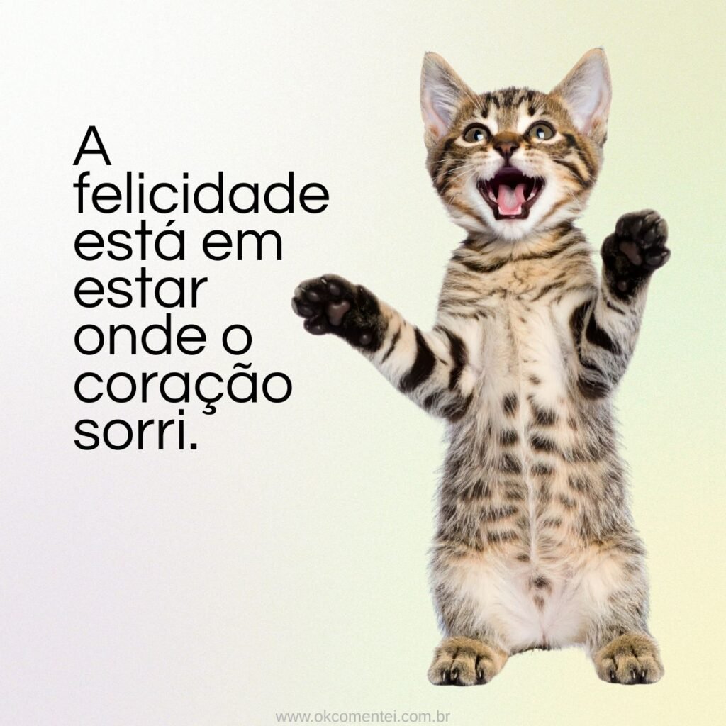 frases-sobre-felicidade