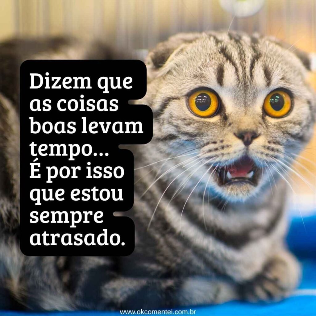 frases-de-sarcasmo