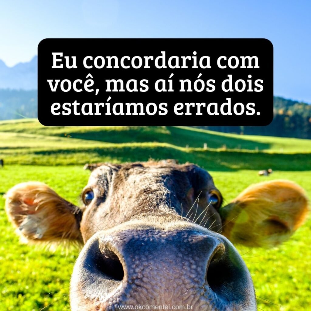 frases-sarcásticas