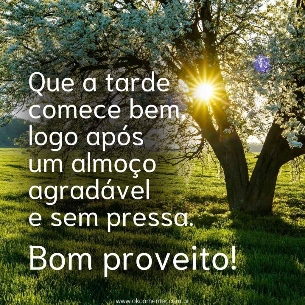 21 mensagens de bom almoço para enviar hoje (com imagens) mensagens-de-bom-almoço