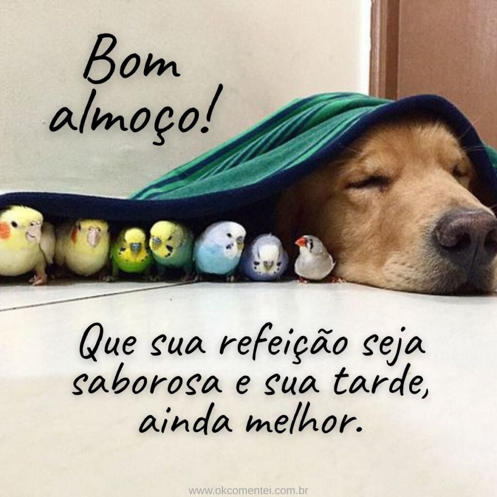 21 mensagens de bom almoço para enviar hoje (com imagens) mensagens-de-bom-almoço