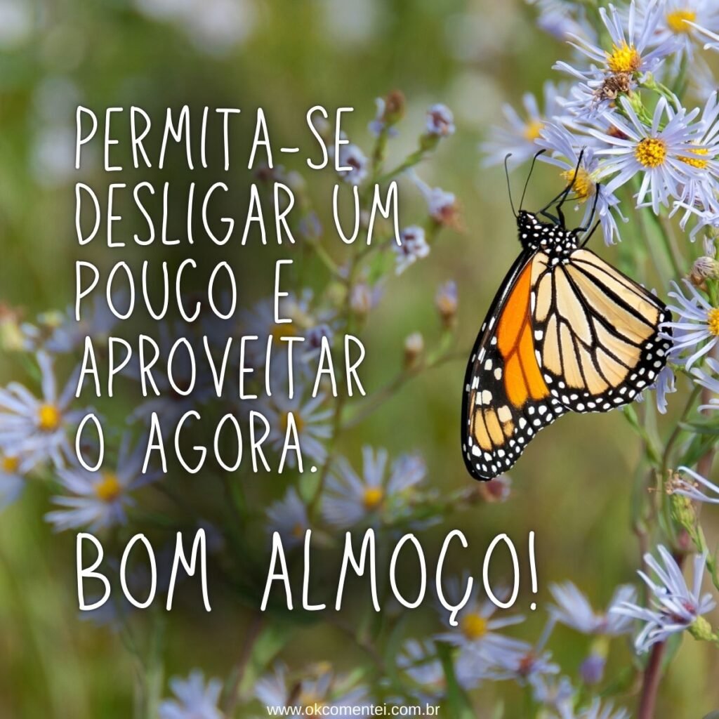 21 mensagens de bom almoço para enviar hoje (com imagens) mensagens-de-bom-almoço
