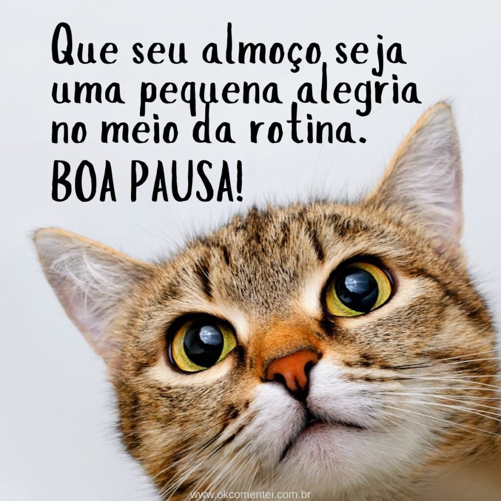 21 mensagens de bom almoço para enviar hoje (com imagens) Desejo um almoço delicioso e uma tarde produtiva e leve.