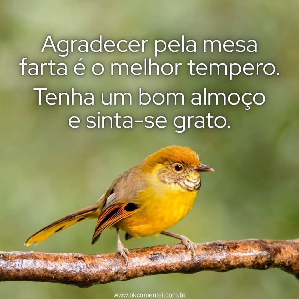 21 mensagens de bom almoço para enviar hoje (com imagens) 21 mensagens de bom almoço para enviar hoje (com imagens) Mensagens de bom almoço para enviar hoje. Frases carinhosas, leves e perfeitas para compartilhar no WhatsApp e tornar o dia de alguém mais especial.