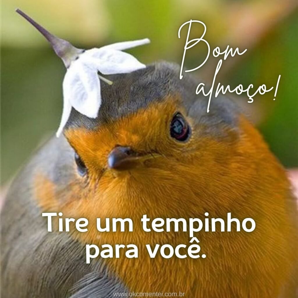 21 mensagens de bom almoço para enviar hoje (com imagens) mensagens-de-bom-almoço