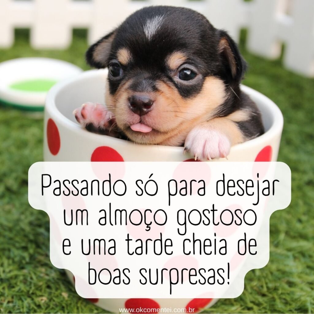 21 mensagens de bom almoço para enviar hoje (com imagens) mensagens-de-bom-almoço