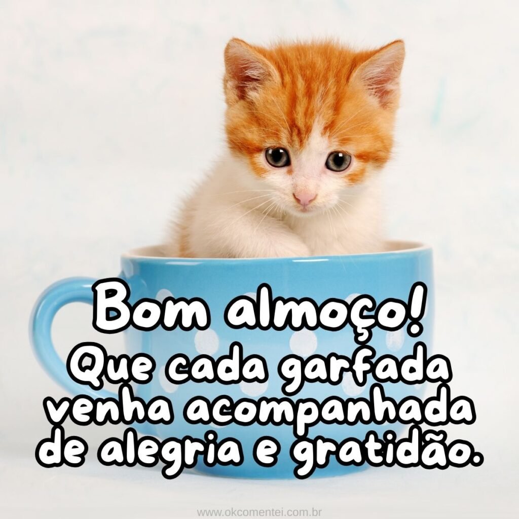 21 mensagens de bom almoço para enviar hoje (com imagens) mensagens-de-bom-almoço