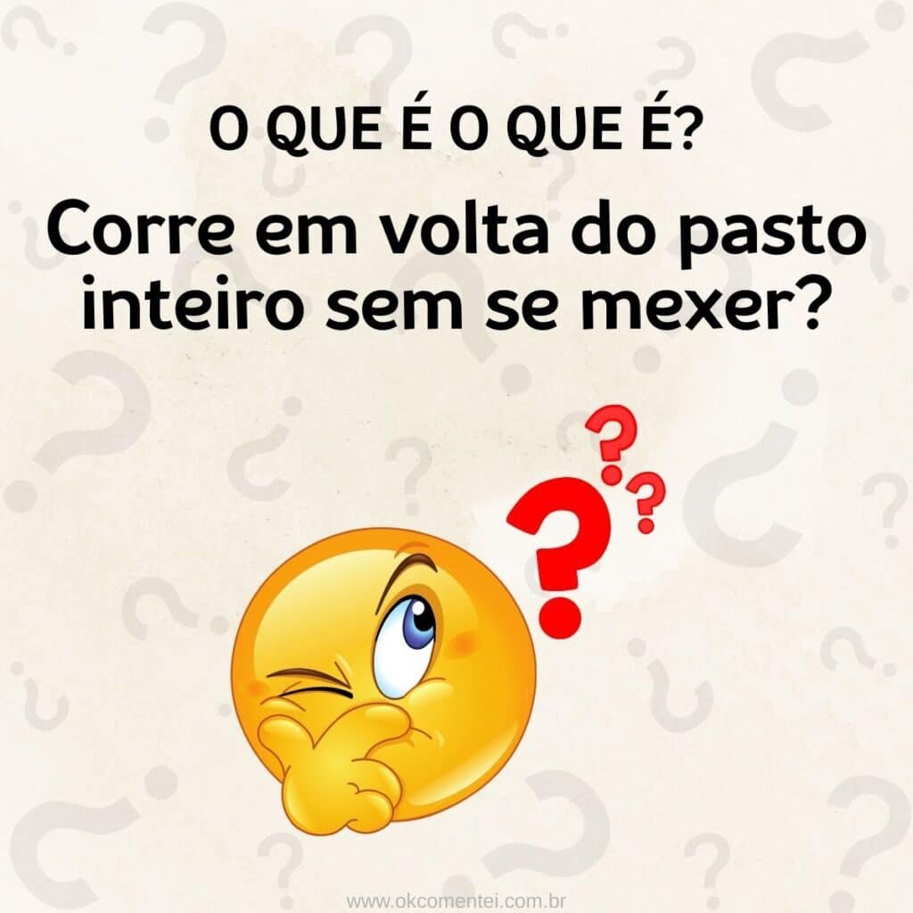 O que é o que é: 157 opções para divertir crianças e adultos o-que-é-o-que-é