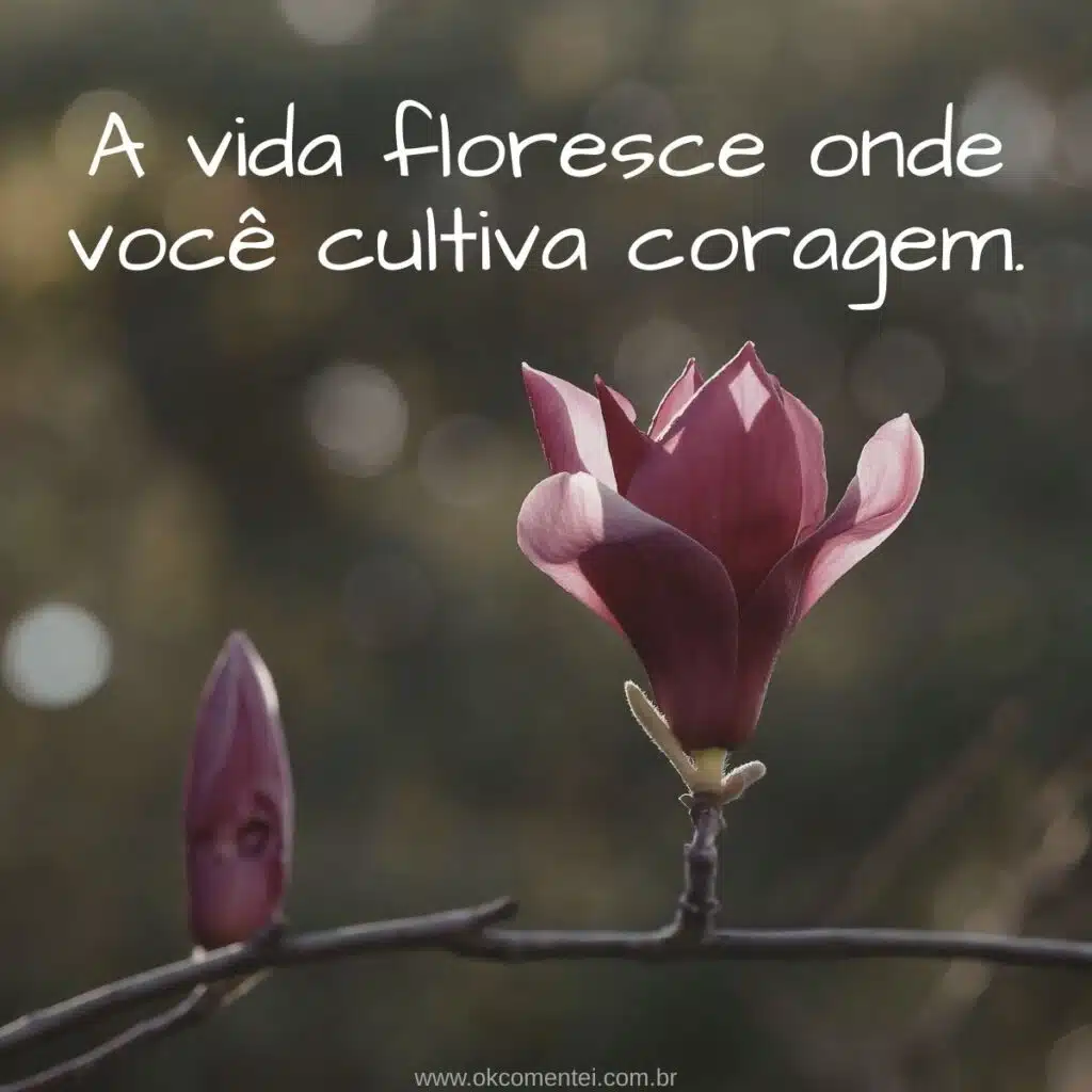 87 frases impactantes para inspirar, refletir e transformar seu dia frases-impactantes