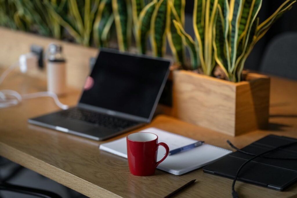 5 plantas que purificam o ar e reduzem o estresse no home office plantas-que-purificam-o-ar-home-office