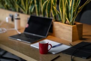 plantas-em-casa-home-office